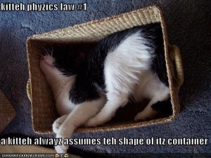 funny-pictures-cat-assumes-shape-of-box-he-is-in funny-pictures-cat-assumes-shape-of-box-he-is-in
