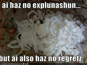 funny-pictures-cat-has-no-explanations-and-no-regrets funny-pictures-cat-has-no-explanations-and-no-regrets