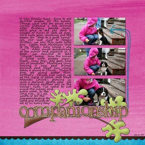 companionship-web companionship-web