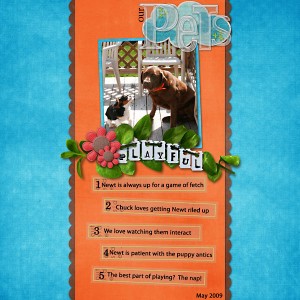 our-pets-playful-web our-pets-playful-web