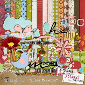 Scrap Matters: These Moments by Juno Designs Scrap Matters: These Moments by Juno Designs