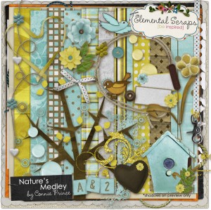Elemental Scraps: Nature's Medley by Connie Prince cap_naturesmedley-600
