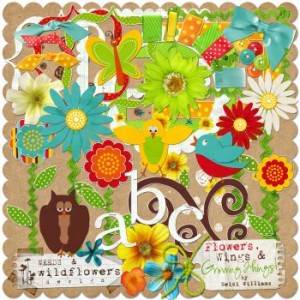 Weeds & Wildflowers Design: Flowers, Wings & Growing Things by Heidi Williams e06197dd0796e2ca09c31bd677989f6fimage350x350
