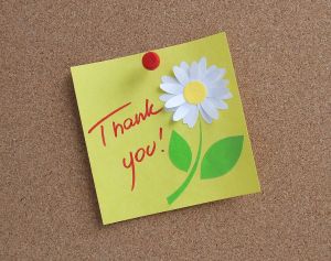 866730_thank_you 866730_thank_you