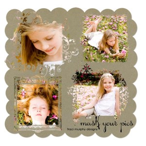 tm-fpd-photomaskpreview tm-fpd-photomaskpreview
