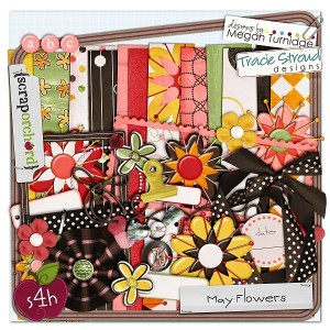 mayflowers mayflowers