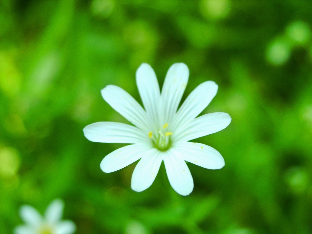 471548_61234186 471548_61234186