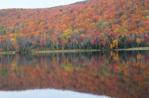 image01 image01