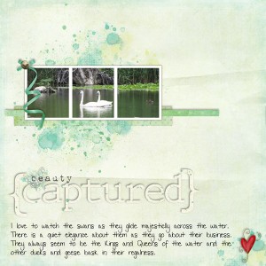 Beauty-Captured_FA_Oceansid Beauty-Captured_FA_Oceansid