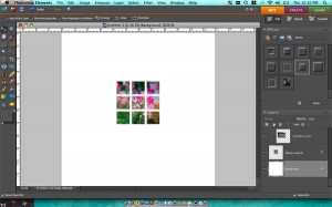 Step 5. Use Ctrl (Cmd on Mac) + G to clip the image to your shape assemblage. step5.tiff