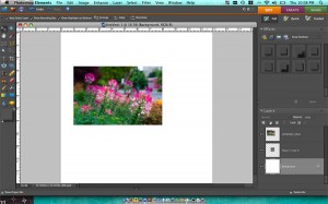 Step 4. Drag or File > Place an image into your document. Make sure it is on top of this new, merged layer. step4.tiff