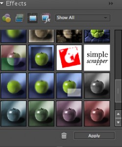 Step 3: Scroll down until you see the Simple Scrapper icon. find3