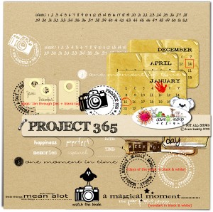 catscrap catscrap