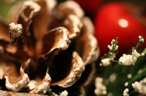 macro christmas macro christmas