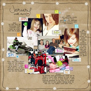 Janwk32010