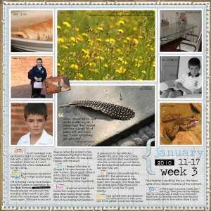 LIFE365_2010-week3_web