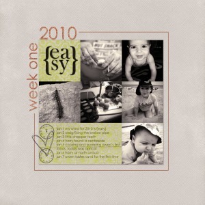 365_one_copy