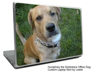laptopskin