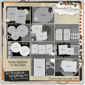 connie prince brag book templates