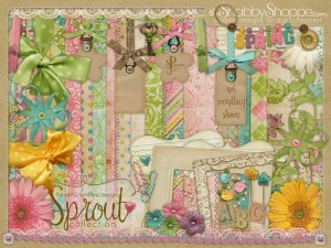 shabbyprincess