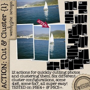 WZ_Cut&Cluster_600-1