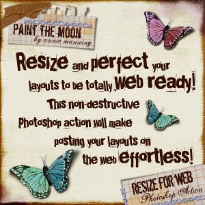 PTM_ResizeActionPreview