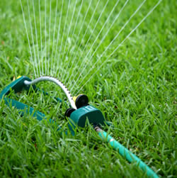 sprinkler