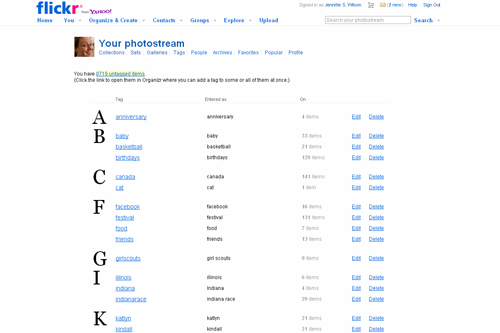 flickr-alltags