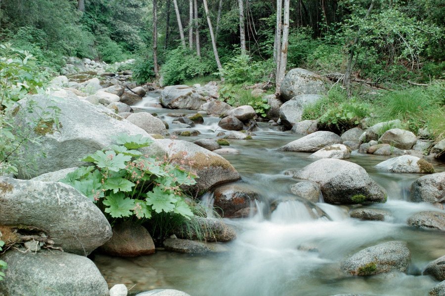 Brandy_Creek