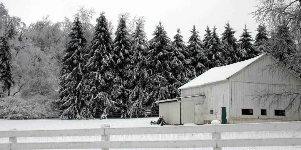 winter_2004_18_o