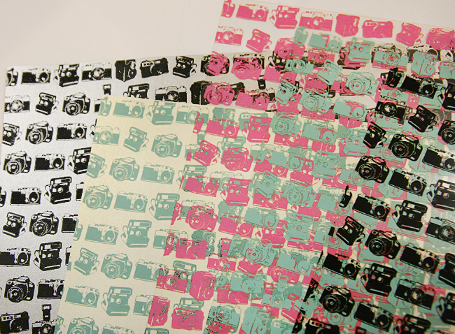Hambly Camera Collection