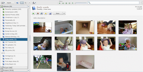 Picasa-album