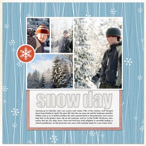 snowsingle1-3-72dpi