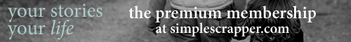 new-premium-graphic-v6-500