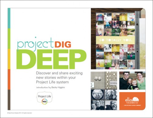 PDD cover