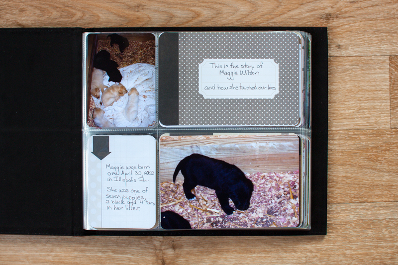 Scrapbooking Pets: Project Life Mini Album from Simple Scrapper