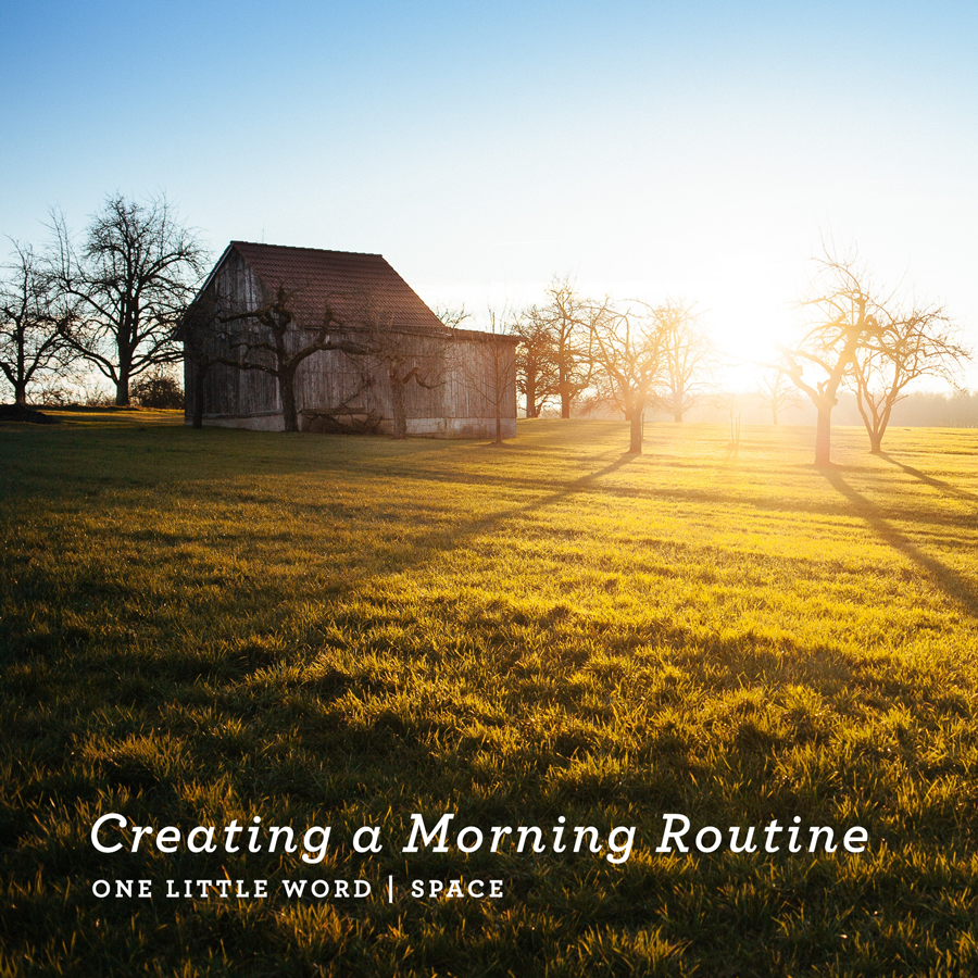 Sunshine and the More Spacious Day