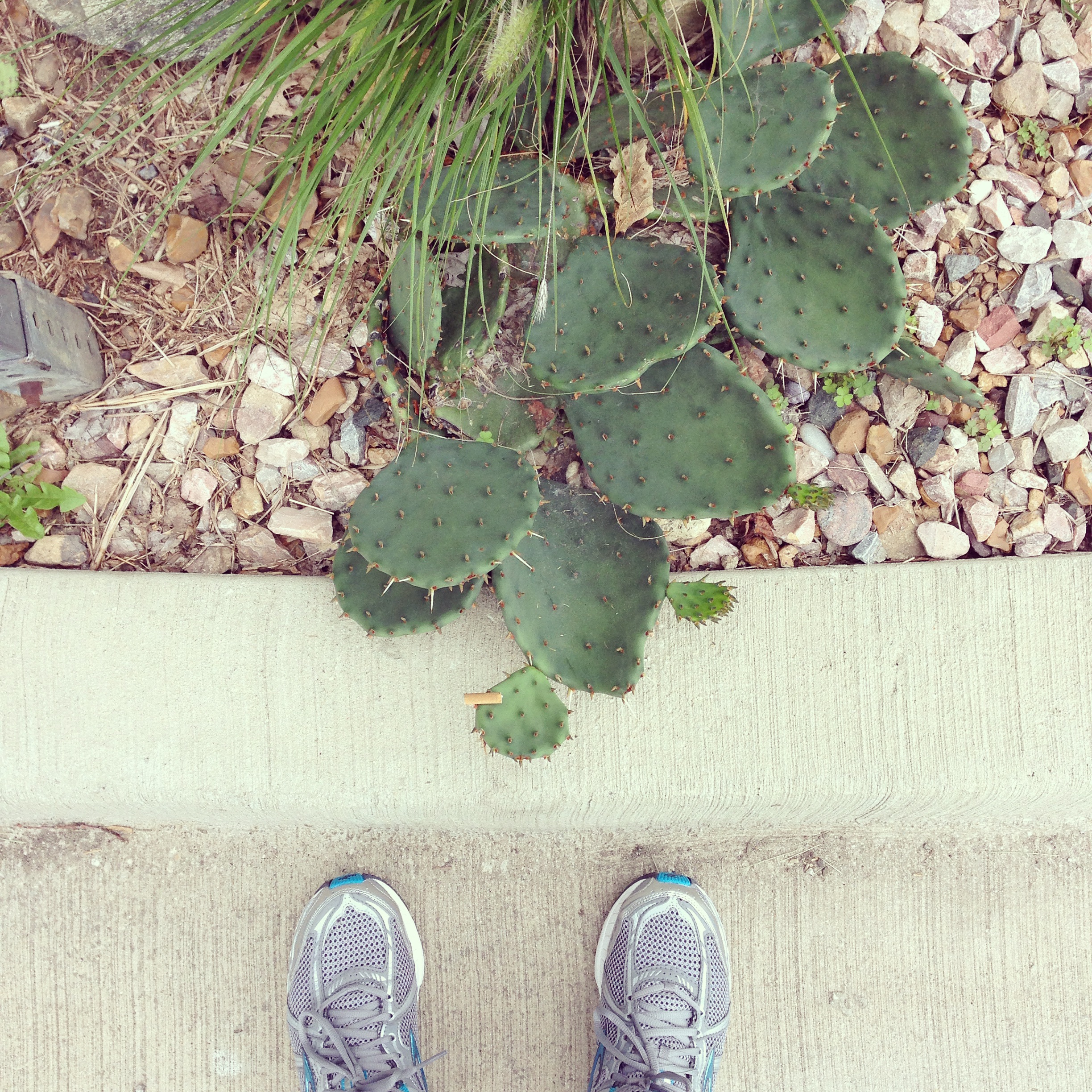 Around Here | July 2014
