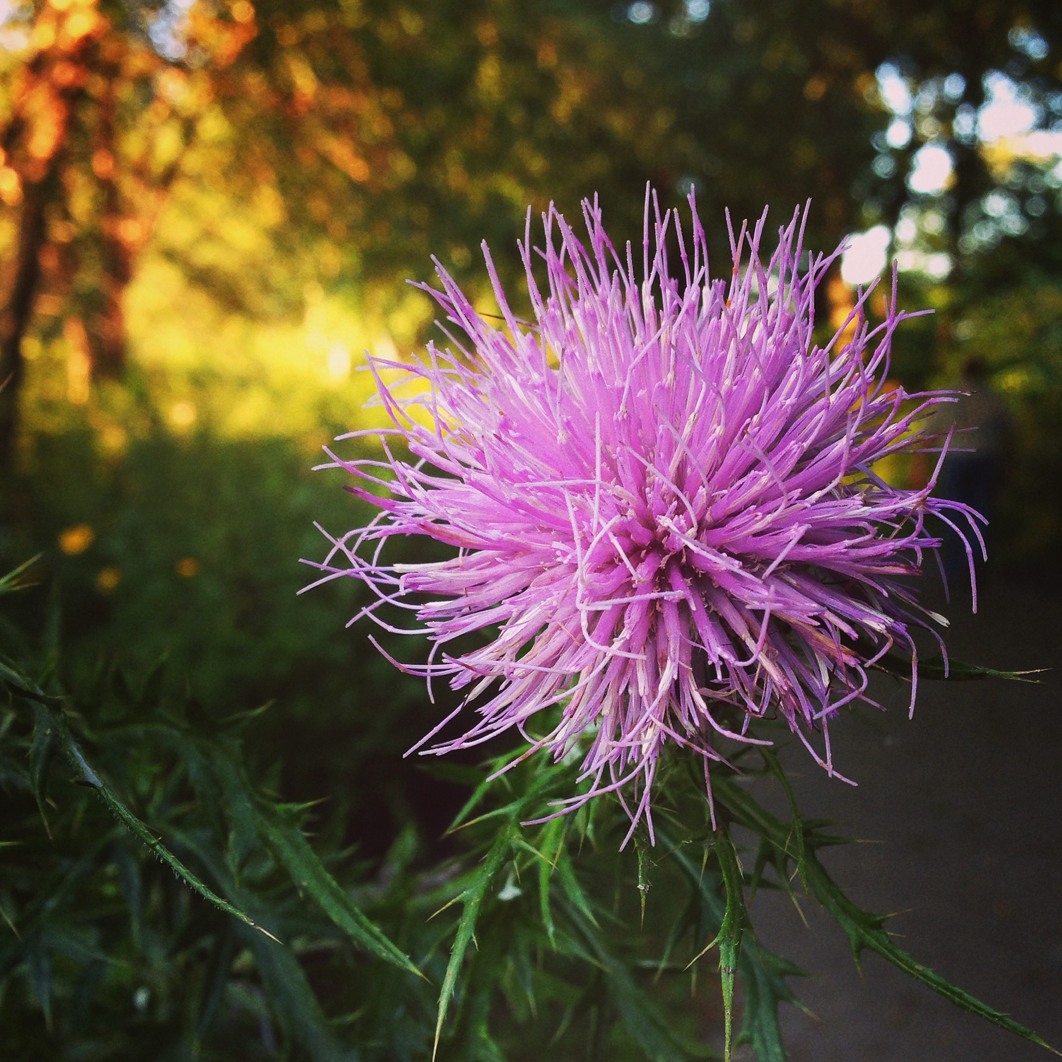 Around Here | September 2014