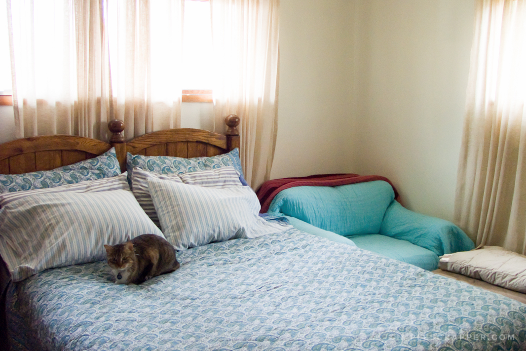 What I Will Remember About This House