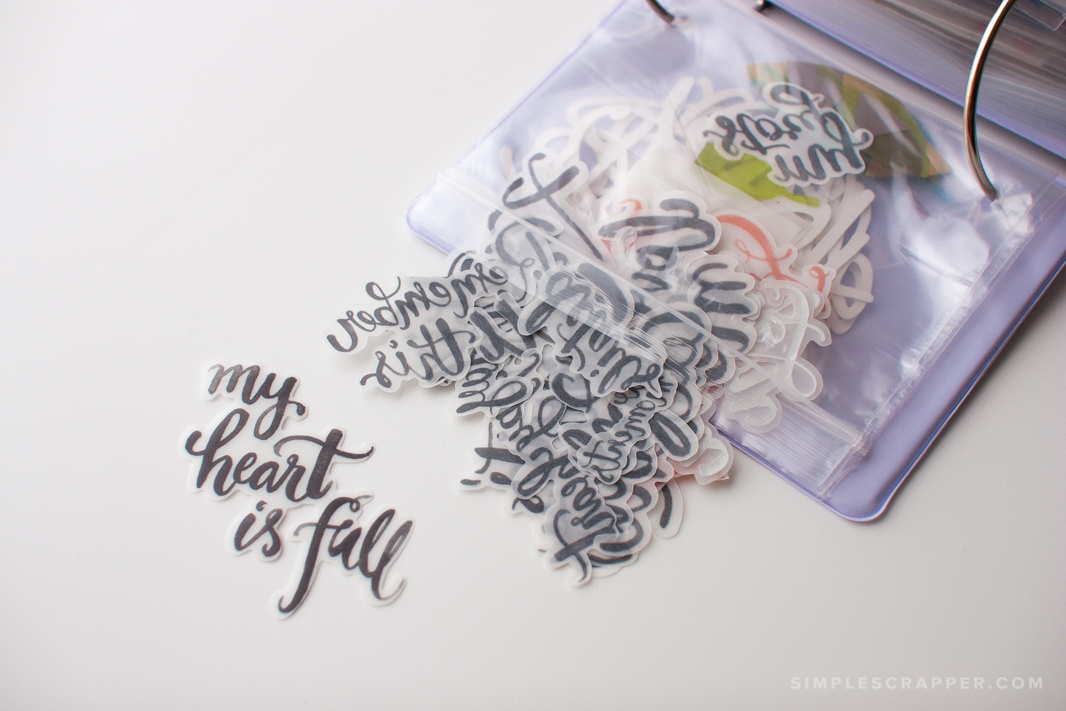 Storage Binder for Scrapbook Die Cuts