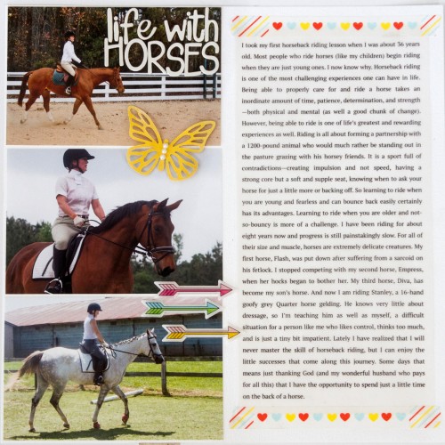 1_sroka_june2014_story