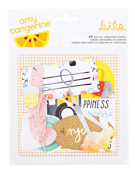 American Crafts - Amy Tangerine Collection - Stitched - Ephemera