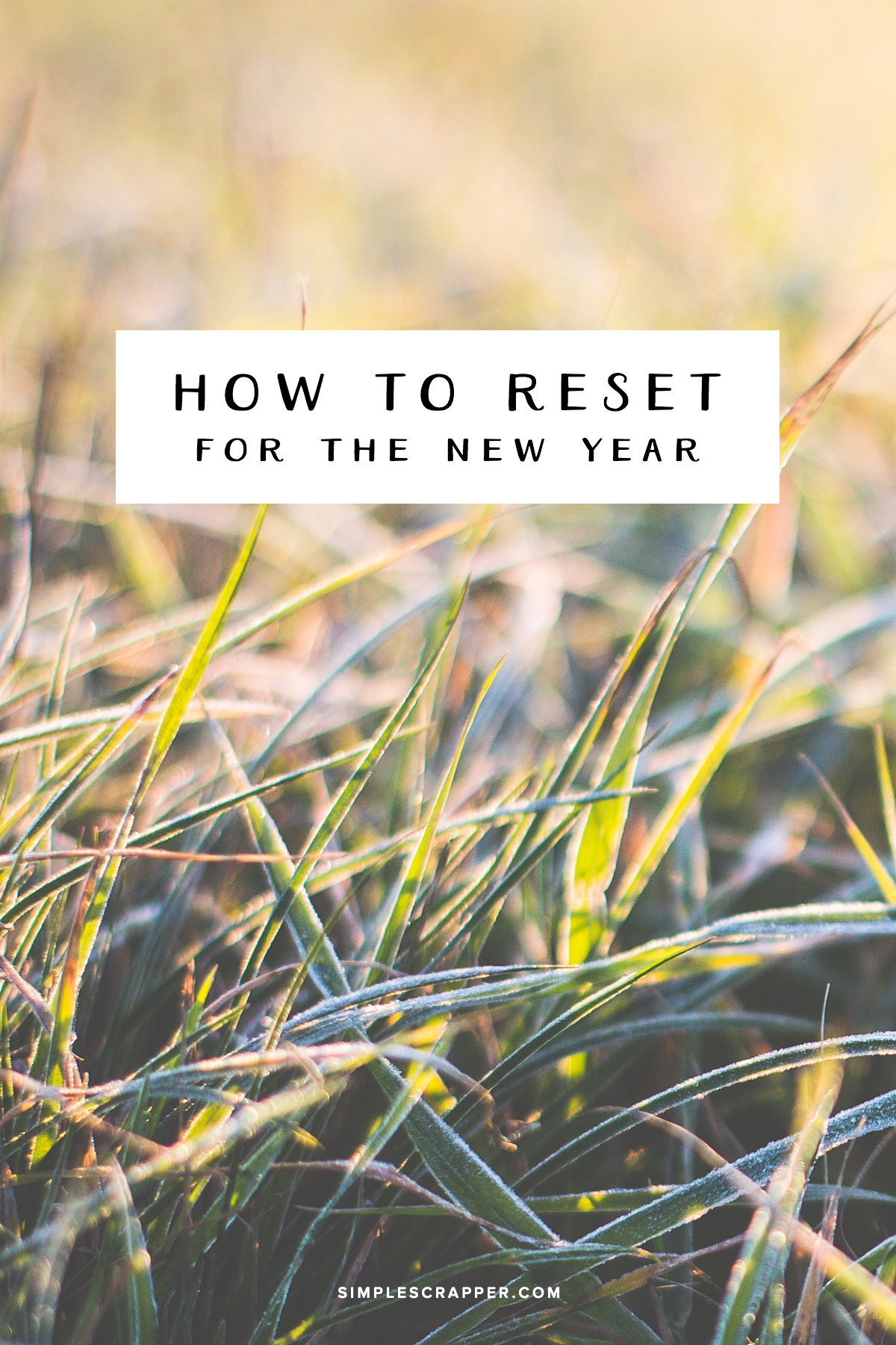 How to Reset Your Creativity with Intention for the New Year